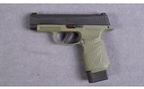 SIG Sauer ~ P365X ~ 9mm - 2 of 2