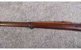 Deutsche Waffen ~ Argentino 1909 - 5 of 10