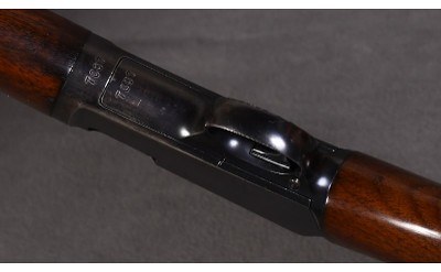 Winchester ~ Model 63 Carbine ~ .22 LR - Image 7 of 12