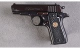 Colt ~ Government Model ~ .380 ACP - 2 of 2