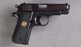 Colt ~ Government Model ~ .380 ACP - 1 of 2