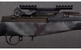 Springfield ~ M1A ~ .308 WIN - 3 of 10