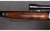 Winchester ~ Model 71 ~ .348 Winchester - 6 of 10