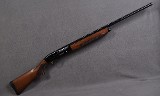 Weatherby ~ Element ~ 20 GA