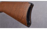 Ruger ~ 10/22 ~ .22 LR - 10 of 10