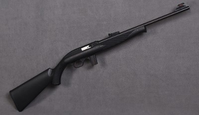 Mossberg ~ 702 Plinkster ~ .22 LR