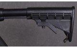 Smith & Wesson ~ M&P 15-22 ~ .22 LR - 9 of 10