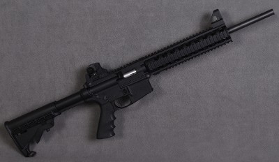 Smith & Wesson ~ M&P 15-22 ~ .22 LR
