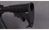 Smith & Wesson ~ M&P 15-22 ~ .22 LR - 10 of 10
