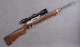 Ruger ~ 10/22 Stainless ~ 22 LR - 1 of 10