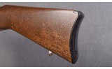 Ruger ~ 10/22 Stainless ~ 22 LR - 10 of 10