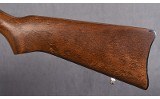 Ruger ~ 10/22 Stainless ~ 22 LR - 9 of 10