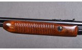Remington ~ 572 Fieldmaster ~ .22 S / L / LR - 6 of 10