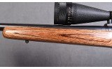Remington ~ 700 ~ .204 Ruger - 6 of 10