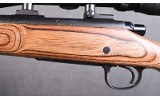 Remington ~ 700 ~ .204 Ruger - 7 of 10