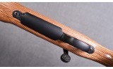 Remington ~ 700 ~ .204 Ruger - 8 of 10