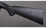 Ruger ~ 10/22 ~ .22 LR - 9 of 10 Ruger ~ 10/22 ~ .22 LR - 9 of 10