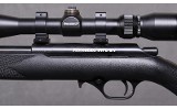 Mossberg ~ Model 817 ~ .17HMR - 8 of 10