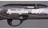 Remington ~ 597 Magnum ~ .22 WMR - 3 of 10