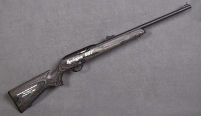 Remington ~ 597 Magnum ~ .22 WMR