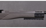 Ruger ~ 10/22 ~ .22LR - 4 of 10 Ruger ~ 10/22 ~ .22LR - 4 of 10
