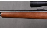 Marlin ~ Model 60 ~ .22LR - 6 of 10
