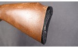 Marlin ~ Glenfield Mod. 60 ~ .22 LR - 10 of 10 Marlin ~ Glenfield Mod. 60 ~ .22 LR - 10 of 10