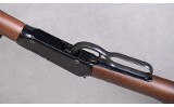 Henry ~ H001T ~ .22 Short, Long, Long Rifle - 7 of 10