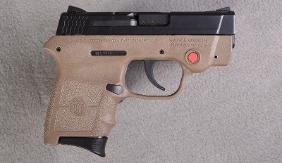 Smith & Wesson ~ Bodyguard ~ .380 Auto