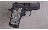 SIG Sauer ~ P238 ~ .380 Auto - 2 of 2