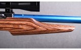 Ruger ~ 10/22 Custom ~ 22 LR - 4 of 10