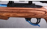 Ruger ~ 10/22 Custom ~ 22 LR - 7 of 10