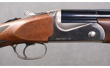 Franchi ~ Instinct SL ~ 12 Gauge - 3 of 11