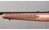Ruger ~ American ~ .22 Long Rifle - 6 of 10