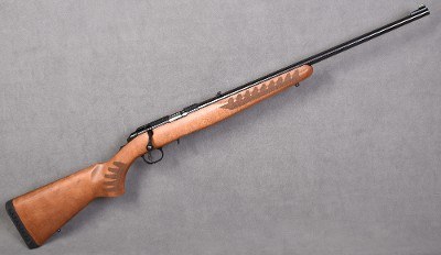 Ruger ~ American ~ .22 Long Rifle