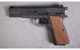Springfield Armory ~ SA-35 ~ 9mm - 2 of 2