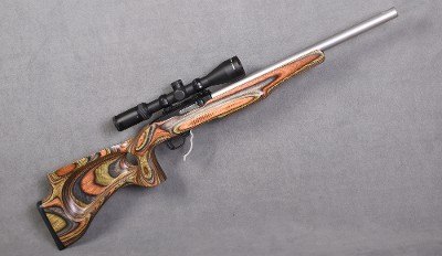 Ruger ~ 10/22 ~ .22 LR