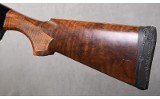 Benelli ~ Sport ~ 12 Gauge - 9 of 11