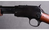 Taurus ~ 62 ~ 22 lr - 8 of 10