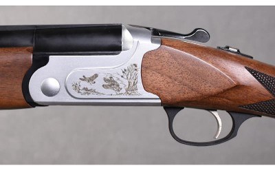 Charles Daly ~ Model 202 ~ 12 Gauge - Image 8 of 10
