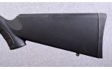 Savage Arms ~ Model A17 ~ .17 HMR - 9 of 10