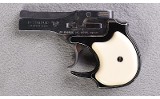 High Standard ~ DM-101 ~ .22 Magnum - 2 of 5