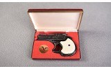 High Standard ~ DM-101 ~ .22 Magnum - 5 of 5
