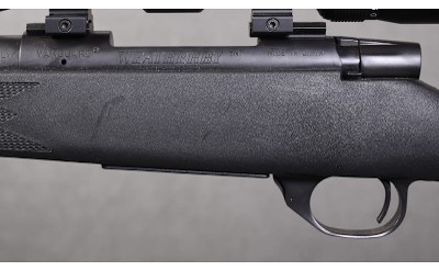 Weatherby ~ Vanguard ~ .243 Winchester - Image 8 of 11