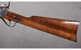 IAB ~ Sharps Carbine ~ .45-70 Government - 9 of 10