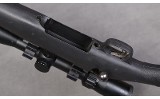 Ruger ~ American ~ .223 Remington - 7 of 10
