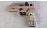 SIG Sauer ~ P320 Custom Works ~ 9mm - 2 of 4