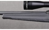 Winchester ~ Wildcat ~ .22 Long Rifle - 6 of 10