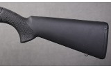 Ruger ~ 10/22 Takedown ~ .22 Long Rifle - 9 of 10