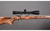 Savage Arms ~ 93R17 ~ .17 HMR - 11 of 11